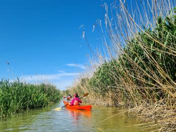 Kayak caiac danube delta Romania boat tour holiday bird watching sejour vacances ornithologique 